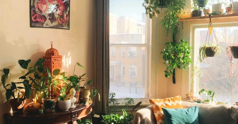 WhatsApp Image 2026-01-17 at 8.18.08 AM